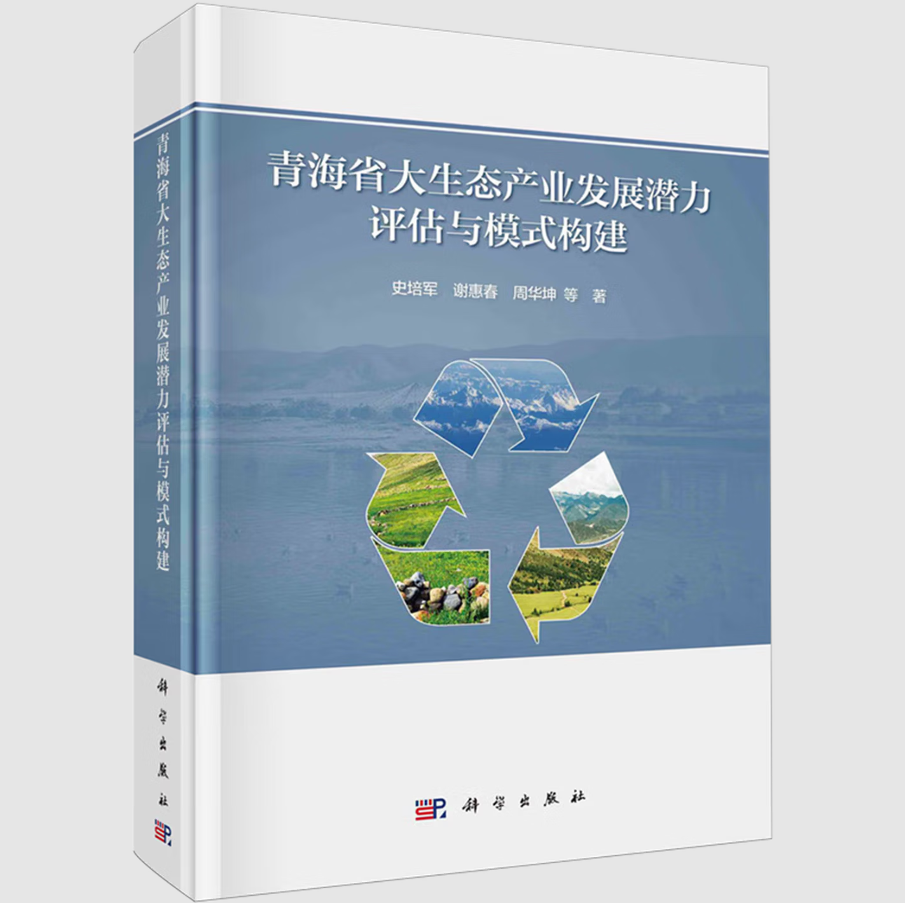 青海省大生态产业发展潜力评估与模式构建