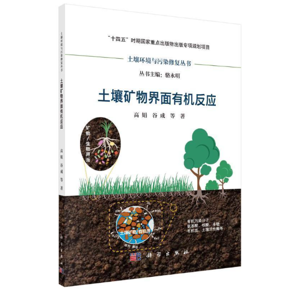 土壤矿物界面有机反应