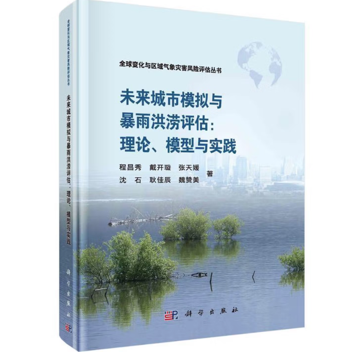 未来城市模拟与暴雨洪涝评估