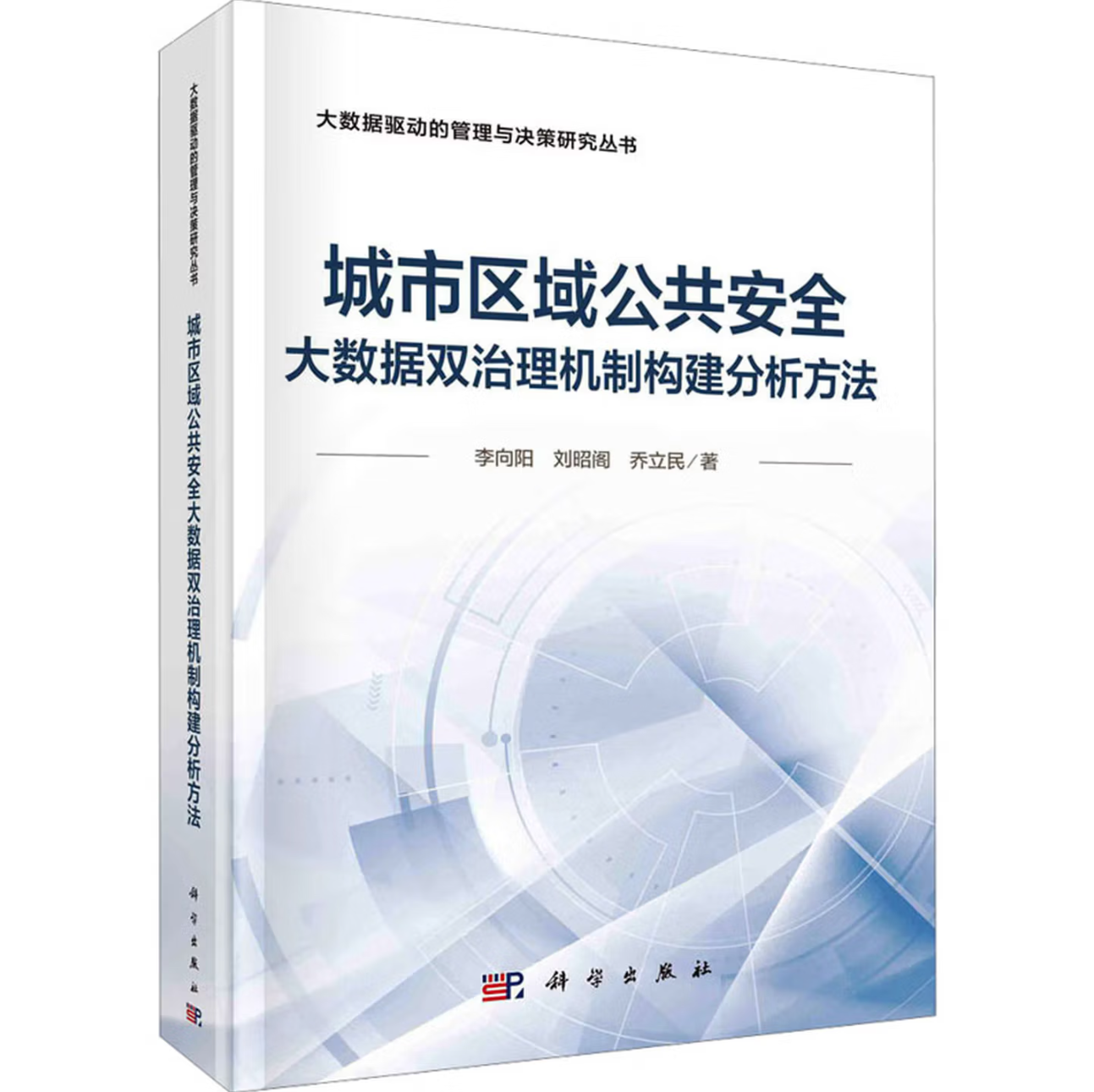 城市区域公共安全大数据双治理机制构建分析方法