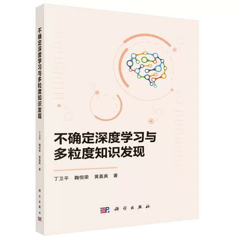 不确定深度学习与多粒度知识发现