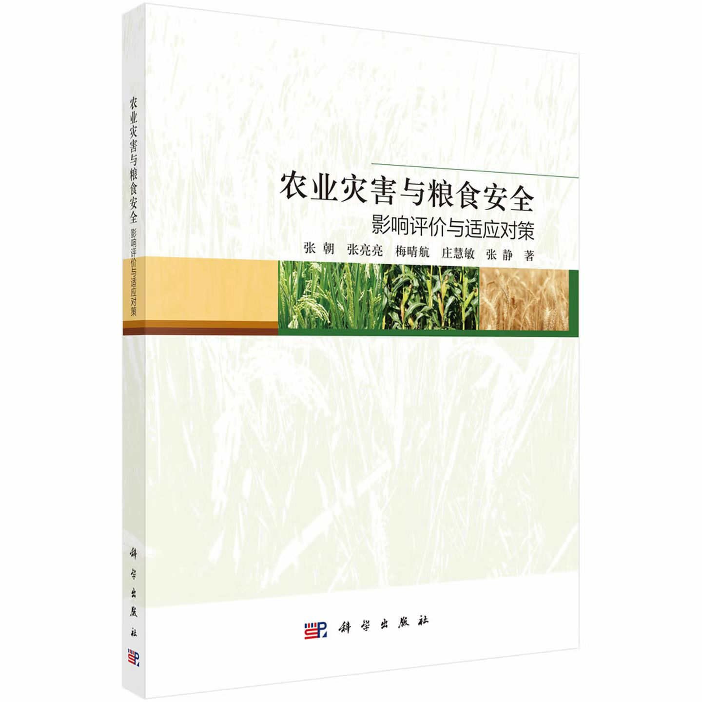 农业灾害与粮食安全