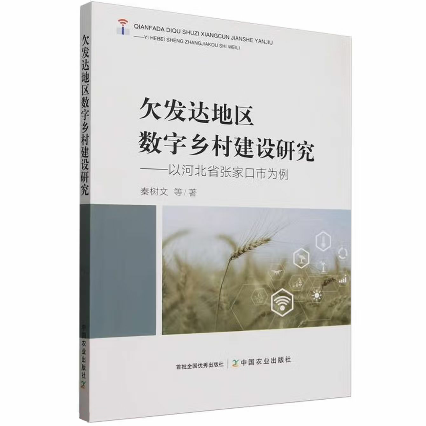 欠发达地区数字乡村建设研究