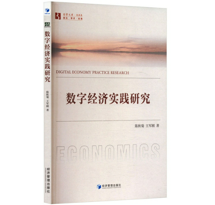 数字经济实践研究