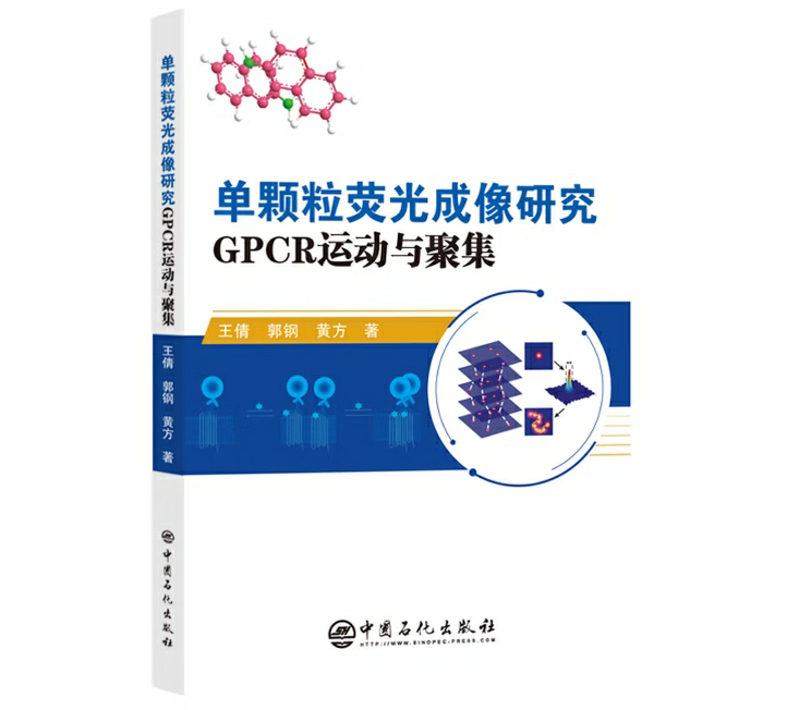 单颗粒荧光成像研究GPCR运动与聚集