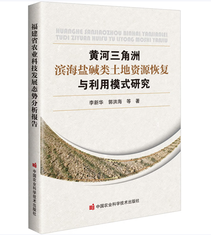 黄河三角洲滨海盐碱类土地资源恢复与利用模式研究