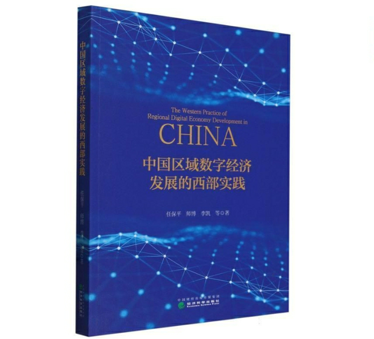 中国区域数字经济发展的西部实践