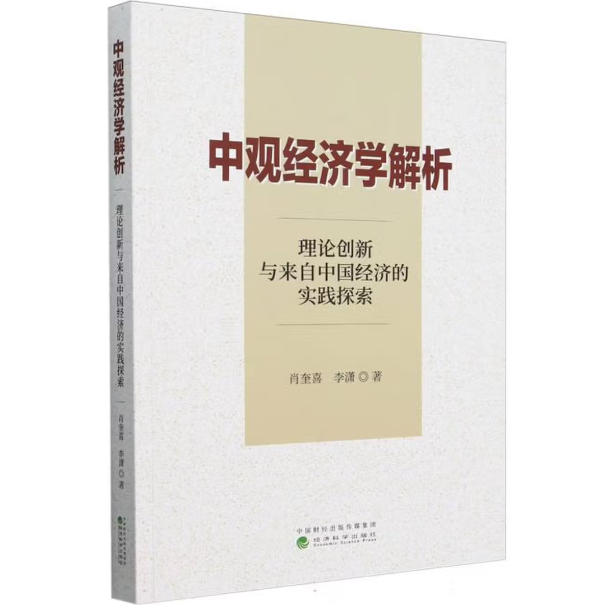 中观经济学解析