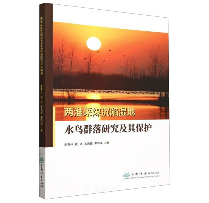 两淮采煤沉陷湿地水鸟群落研究及其保护