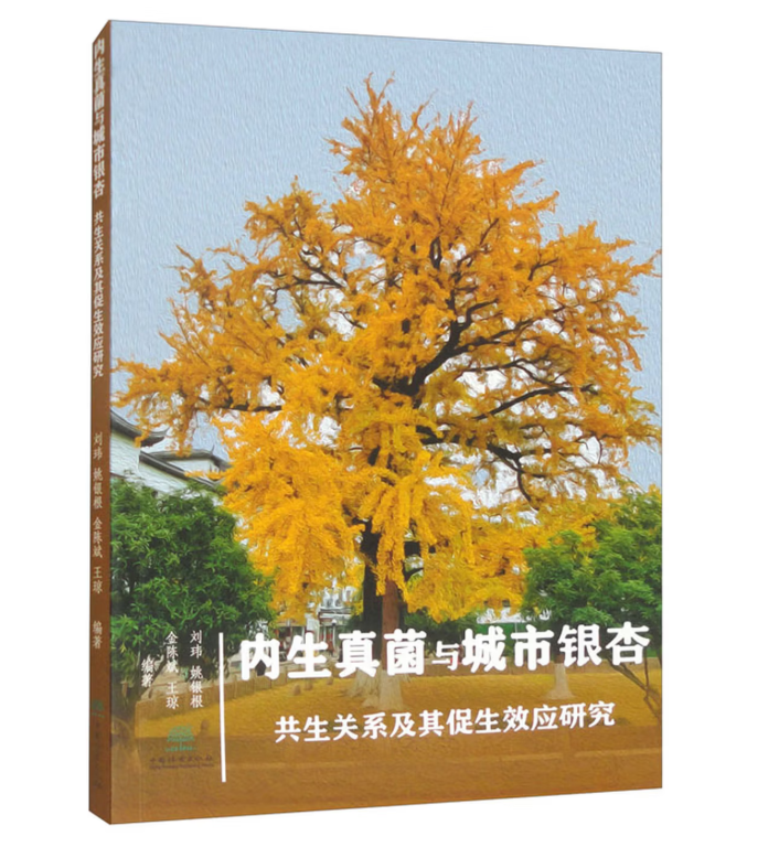 内生真菌与城市银杏共生关系及其促生效应研究