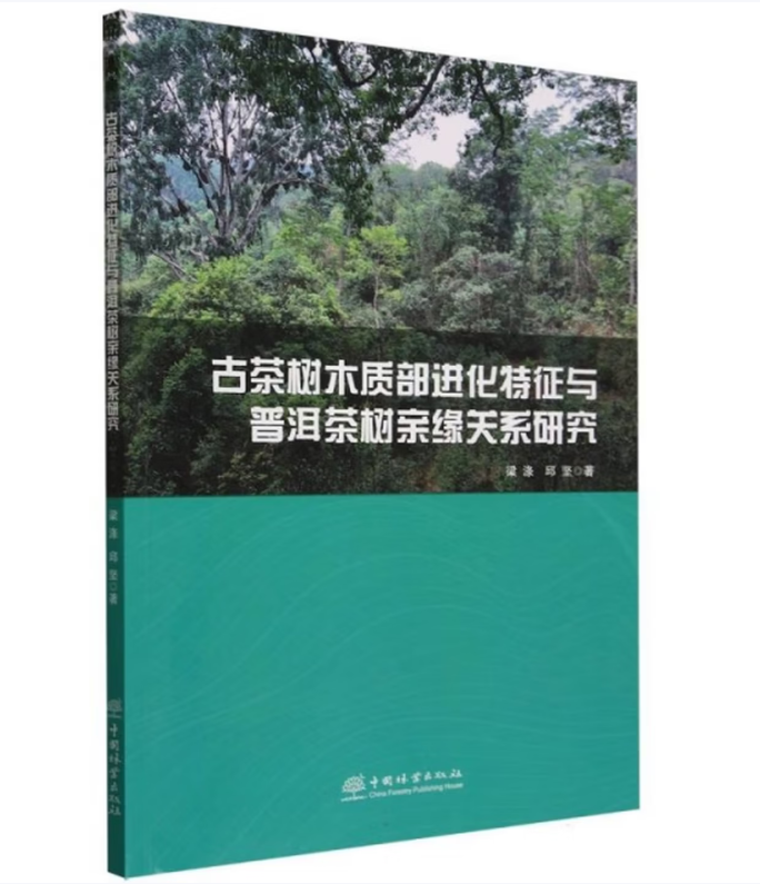 古茶树木质部进化特征与普洱茶树亲缘关系研究