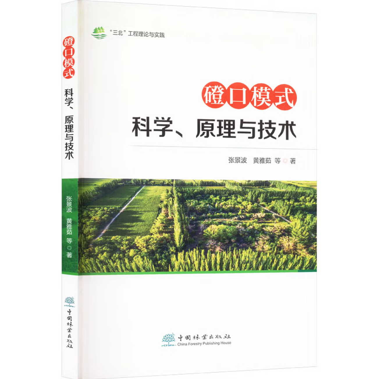 磴口模式科学、原理与技术