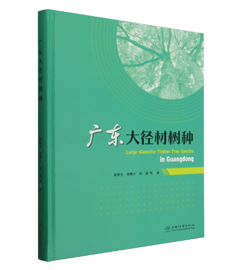 广东大径材树种