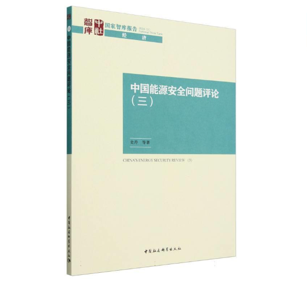 中国能源安全问题评论