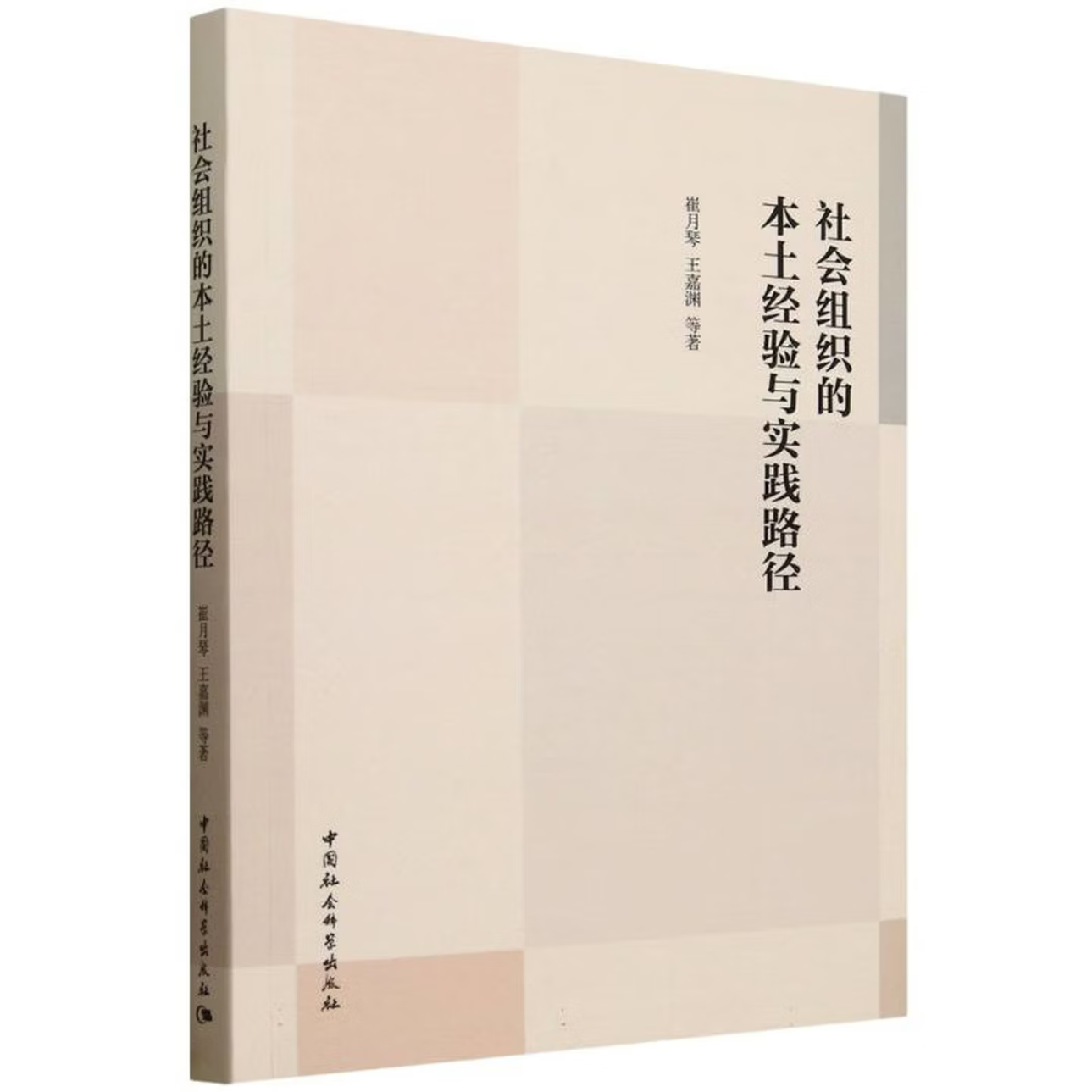 社会组织的本土经验与实践路径