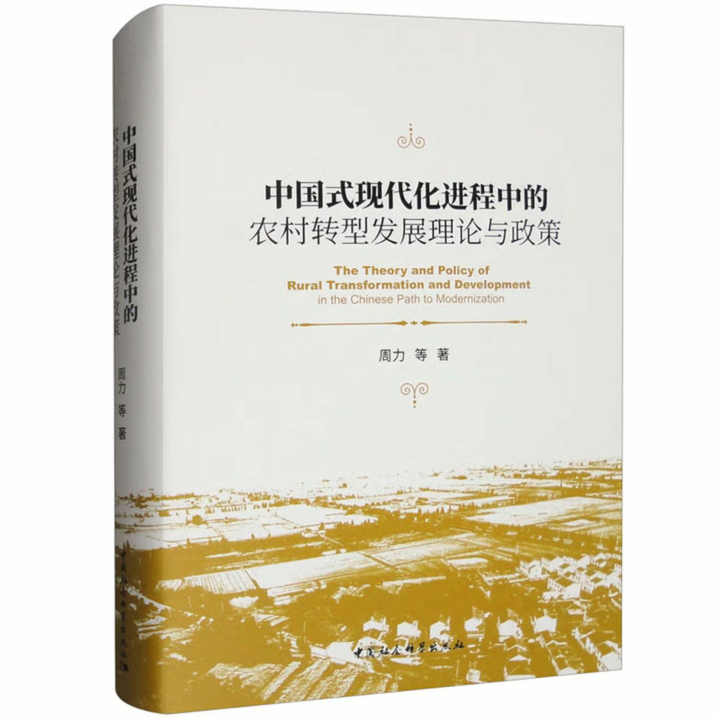 中国式现代化进程中的农村转型发展理论与政策