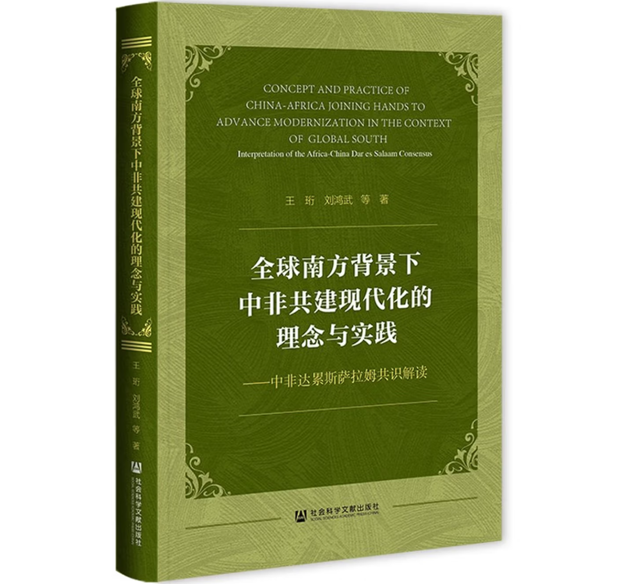 全球南方背景下中非共建现代化的理念与实践