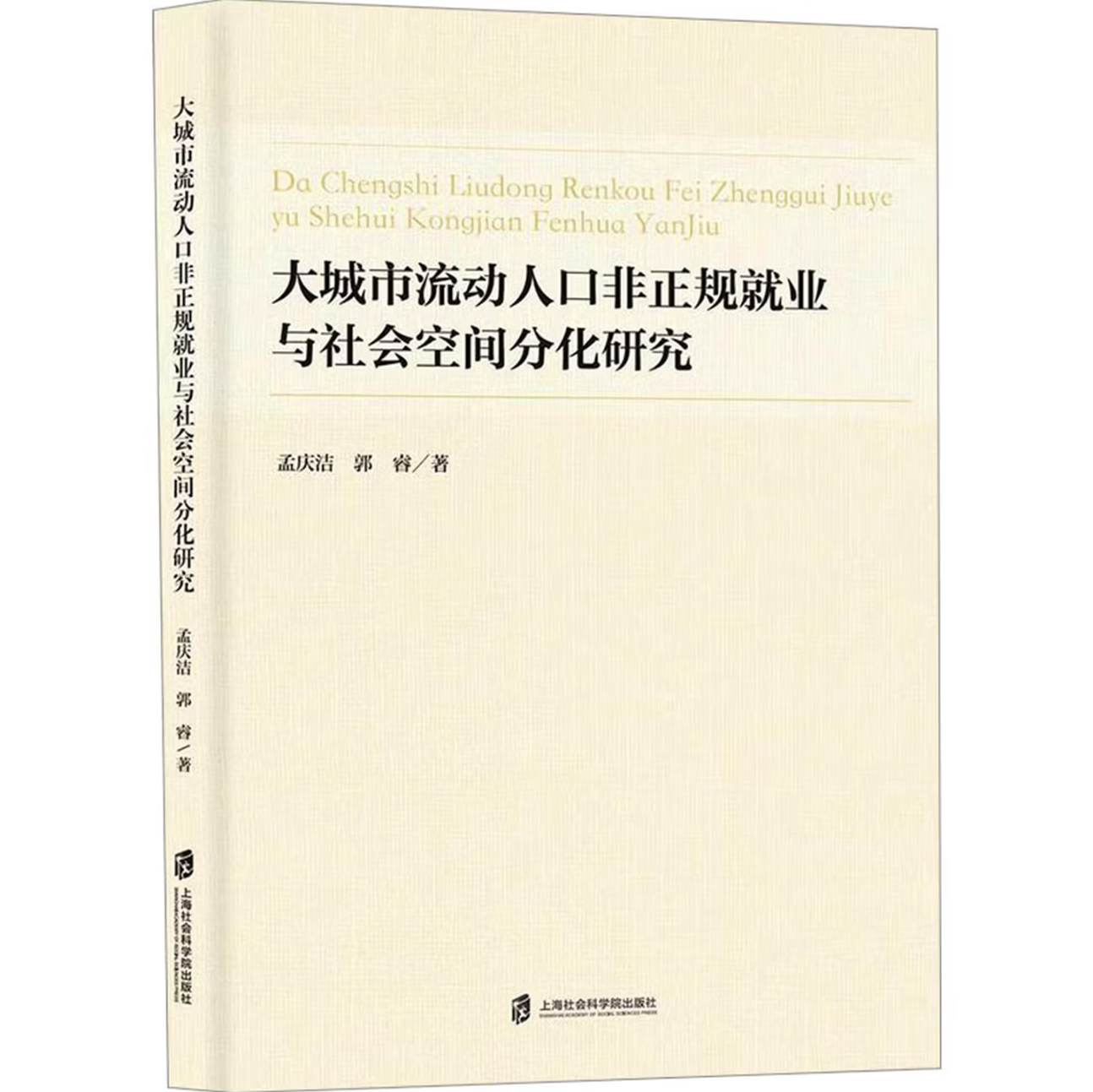 大城市流动人口非正规就业与社会空间分化研究