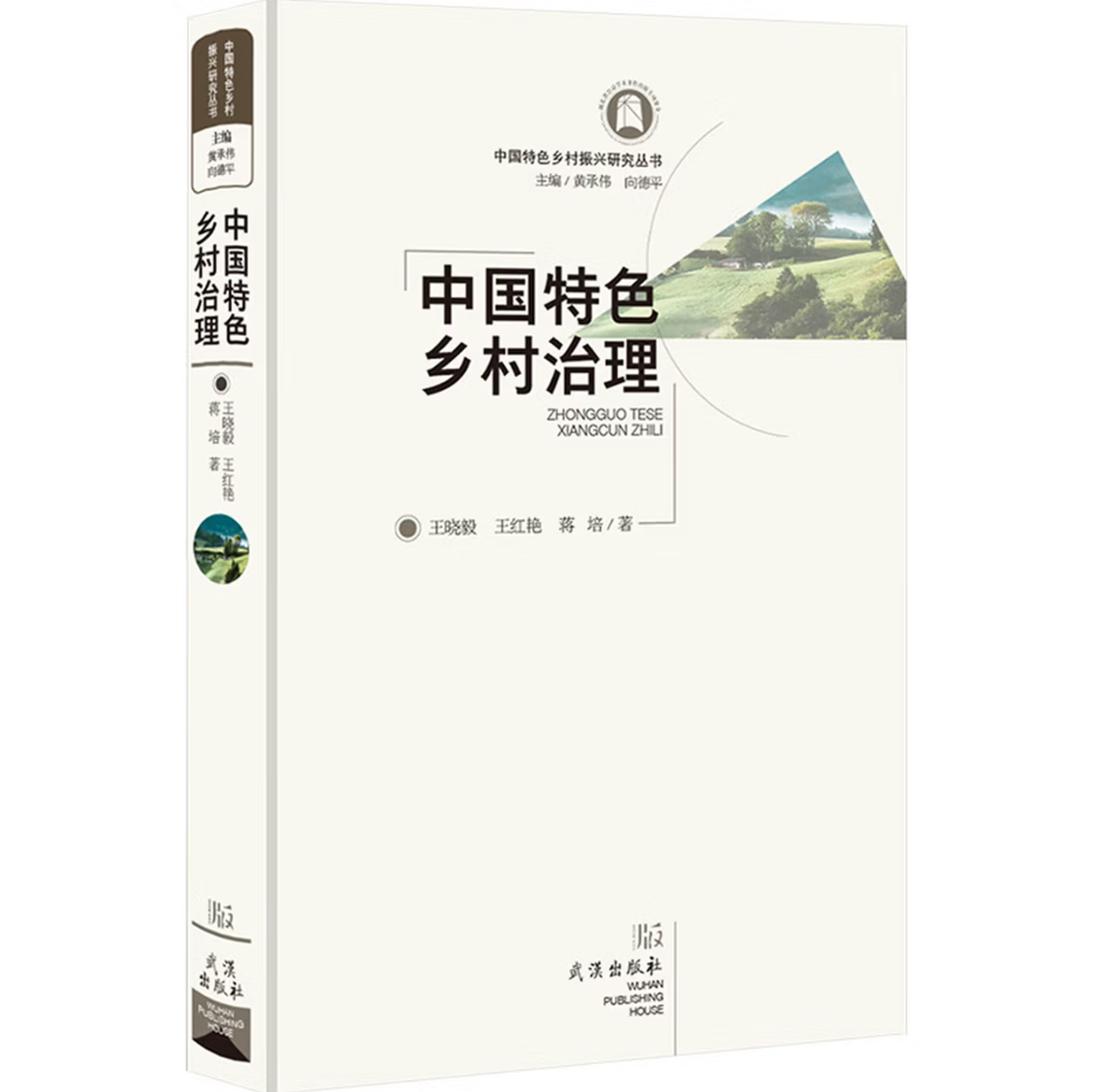 中国特色乡村治理