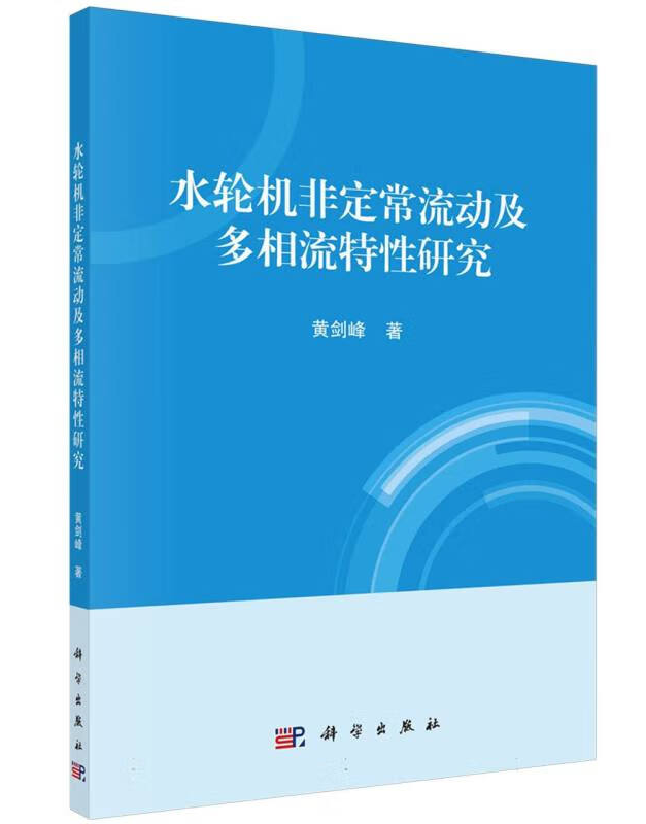 水轮机非定常流动及多相流特性研究