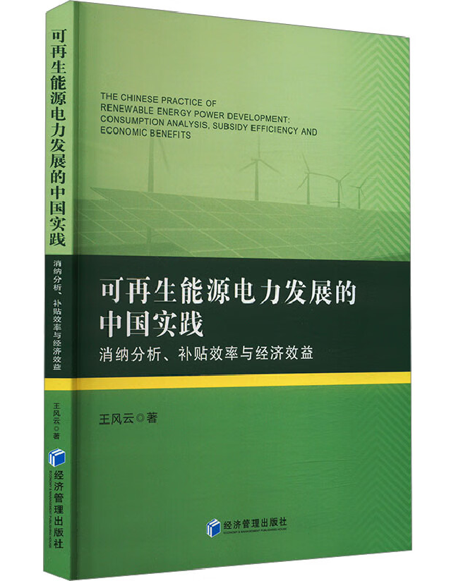可再生能源电力发展的中国实践