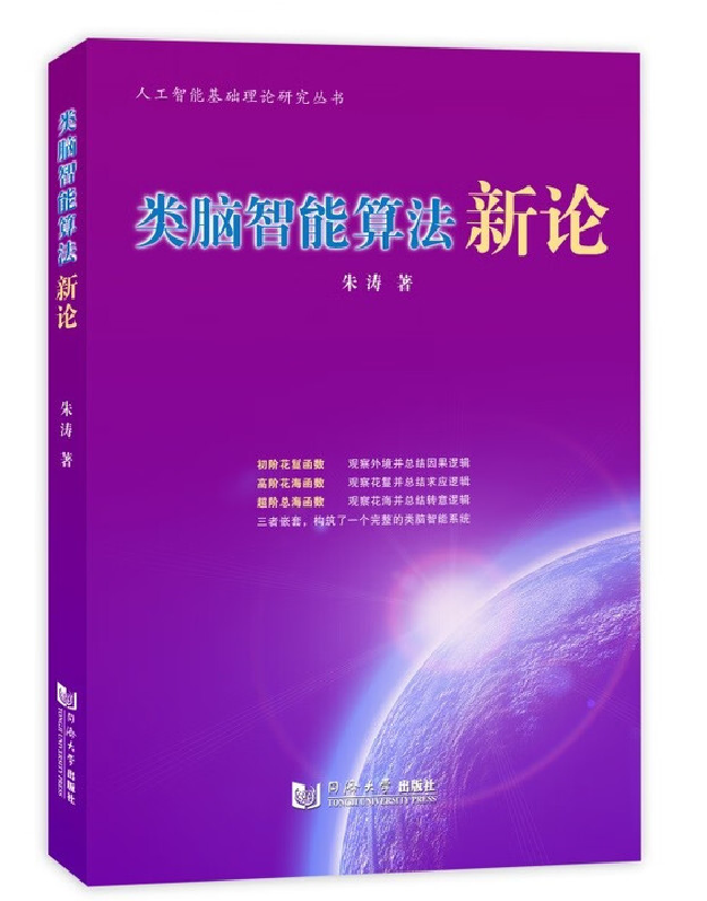 类脑智能算法新论