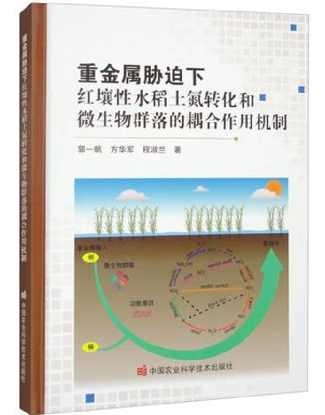 重金属胁迫下红壤性水稻土氮转化和微生物群落的耦合作用机制